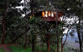 Rainforest Resort